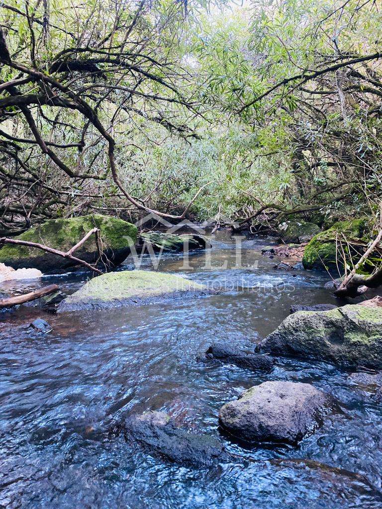 Campo en Otros Las cañas