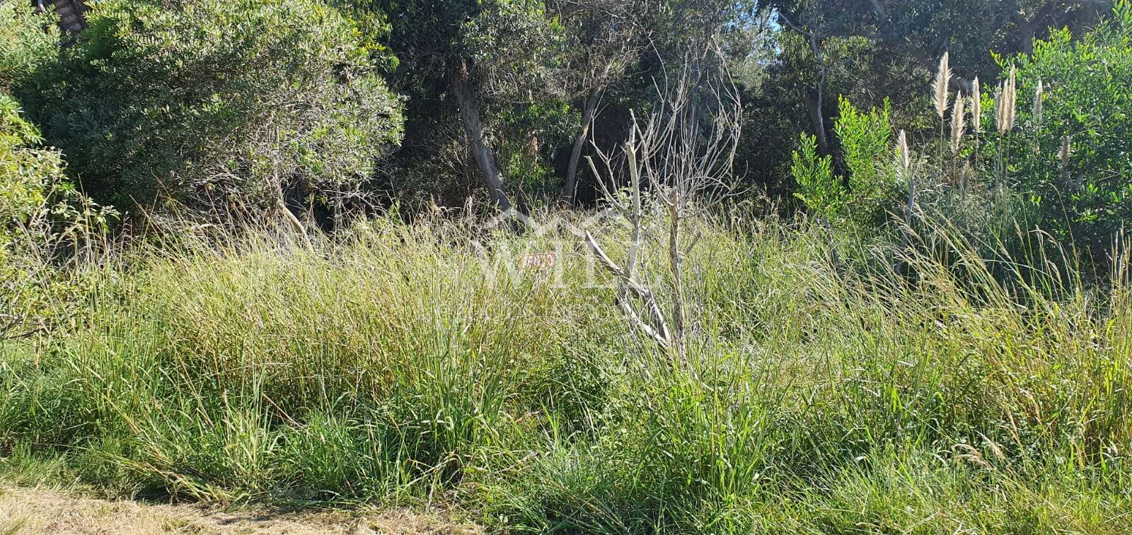 Terreno en El Chorro