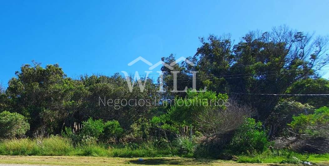 Terreno en El Chorro