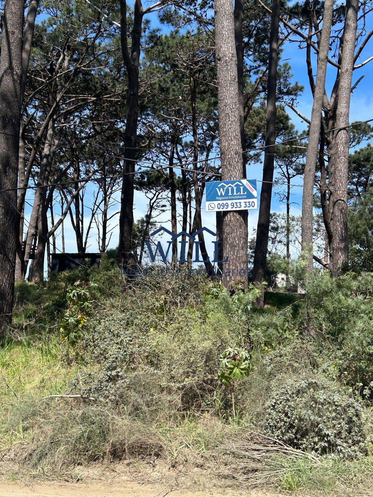 Terreno en La Barra